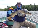 Is this a northern pike facing south or a southern pike facing north, nice catch Rich.